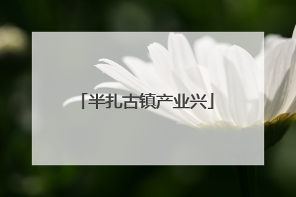 半扎古镇产业兴