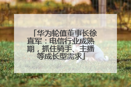 华为轮值董事长徐直军：电信行业成熟期，抓住骑手、主播等成长型需求