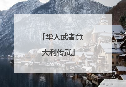 华人武者意大利传武