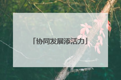 协同发展添活力