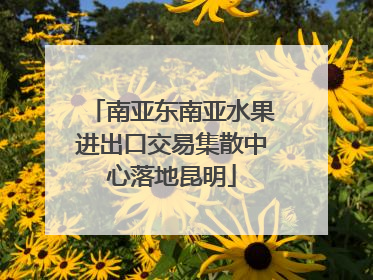 南亚东南亚水果进出口交易集散中心落地昆明