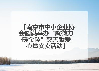 南京市中小企业协会圆满举办“聚微力·暖金陵”慈善献爱心暨义卖活动
