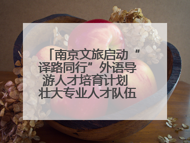 南京文旅启动“译路同行”外语导游人才培育计划 壮大专业人才队伍助力重要国际旅游目的地建设