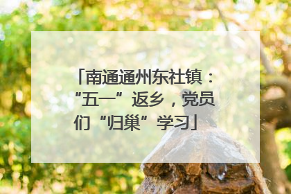南通通州东社镇：“五一”返乡，党员们“归巢”学习