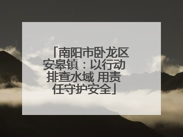 南阳市卧龙区安皋镇：以行动排查水域 用责任守护安全