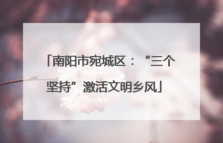 南阳市宛城区：“三个坚持”激活文明乡风