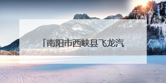 南阳市西峡县飞龙汽车部件股份有限公司赴台开展交流活动
