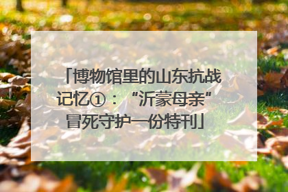 博物馆里的山东抗战记忆①：“沂蒙母亲”冒死守护一份特刊