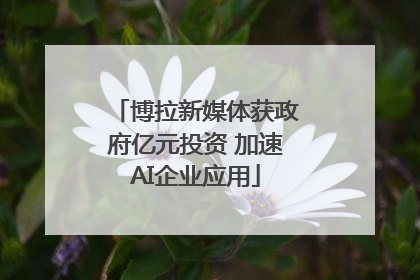 博拉新媒体获政府亿元投资 加速AI企业应用