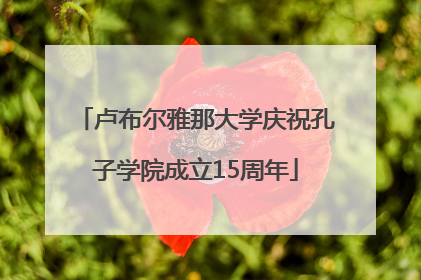 卢布尔雅那大学庆祝孔子学院成立15周年
