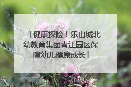 健康探险！乐山城北幼教育集团青江园区保障幼儿健康成长