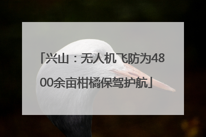 兴山：无人机飞防为4800余亩柑橘保驾护航