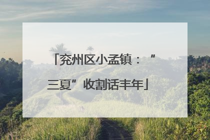 兖州区小孟镇：“三夏”收割话丰年