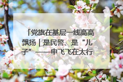 党旗在基层一线高高飘扬｜是民警、是“儿子”——申飞飞在太行山中的一线坚守