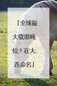 全球最大载重吨位！在大连命名