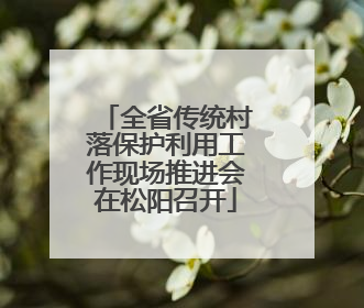全省传统村落保护利用工作现场推进会在松阳召开