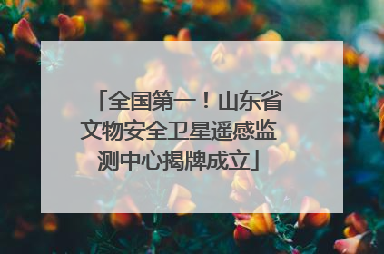全国第一！山东省文物安全卫星遥感监测中心揭牌成立
