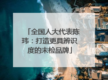 全国人大代表陈玮：打造更具辨识度的未检品牌