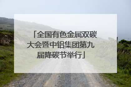 全国有色金属双碳大会暨中铝集团第九届降碳节举行