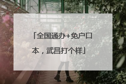 全国通办+免户口本，武昌打个样