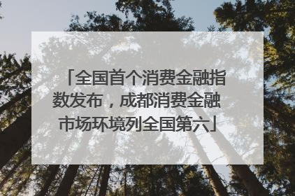 全国首个消费金融指数发布，成都消费金融市场环境列全国第六