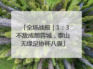 全场战报｜1：3不敌成都蓉城，泰山无缘足协杯八强