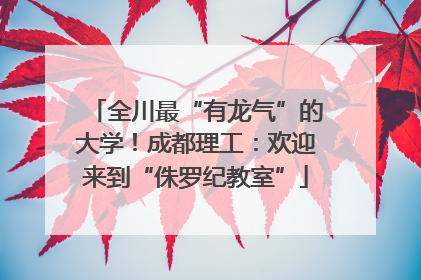 全川最“有龙气”的大学！成都理工：欢迎来到“侏罗纪教室”