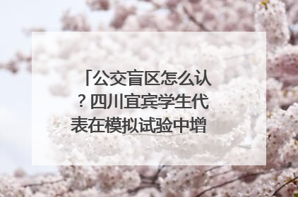 公交盲区怎么认？四川宜宾学生代表在模拟试验中增强乘车安全意识