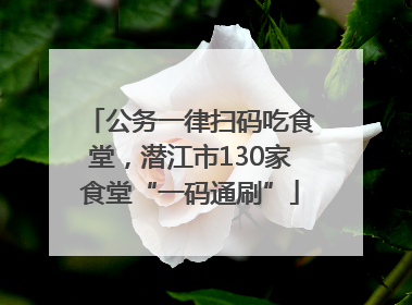 公务一律扫码吃食堂，潜江市130家食堂“一码通刷”
