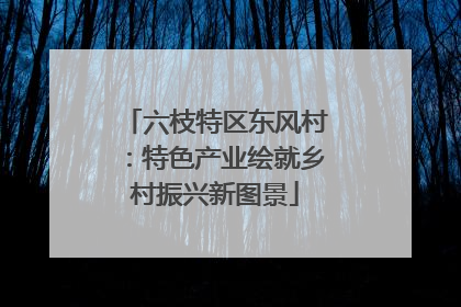 六枝特区东风村：特色产业绘就乡村振兴新图景