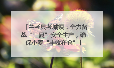 兰考县考城镇：全力备战“三夏”安全生产，确保小麦“丰收在仓”
