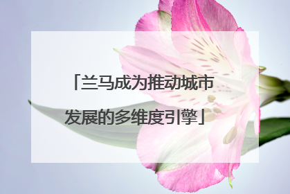 兰马成为推动城市发展的多维度引擎