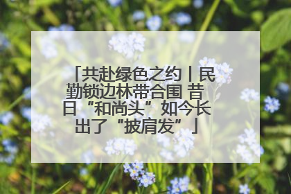 共赴绿色之约丨民勤锁边林带合围 昔日“和尚头”如今长出了“披肩发”
