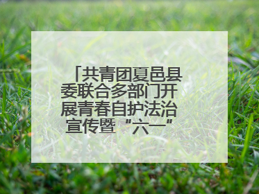 共青团夏邑县委联合多部门开展青春自护法治宣传暨“六一”主题日活动