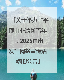 关于举办“平顶山非遗新青年，2025再出发”网络宣传活动的公告