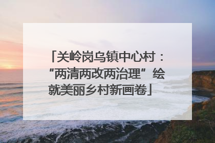关岭岗乌镇中心村：“两清两改两治理”绘就美丽乡村新画卷
