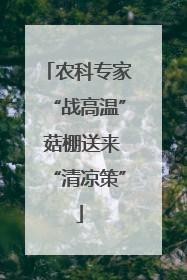 农科专家“战高温” 菇棚送来“清凉策”