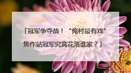 冠军争夺战！“俺村最有戏” 焦作站冠军究竟花落谁家？