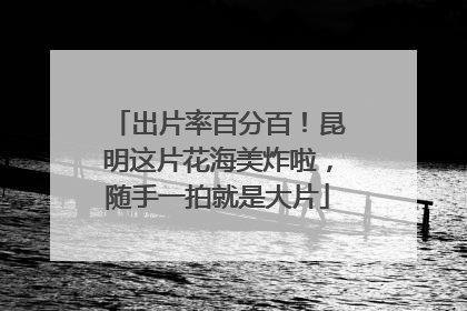 出片率百分百！昆明这片花海美炸啦，随手一拍就是大片