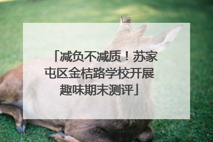 减负不减质！苏家屯区金桔路学校开展趣味期末测评