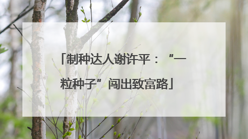 制种达人谢许平：“一粒种子”闯出致富路