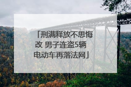 刑满释放不思悔改 男子连盗5辆电动车再落法网