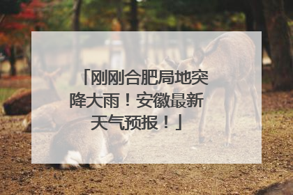 刚刚合肥局地突降大雨！安徽最新天气预报！