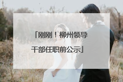 刚刚！柳州领导干部任职前公示
