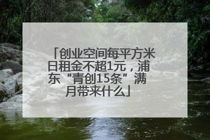 创业空间每平方米日租金不超1元，浦东“青创15条”满月带来什么