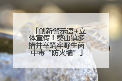 创新警示语+立体宣传！葵山镇多措并举筑牢野生菌中毒“防火墙”