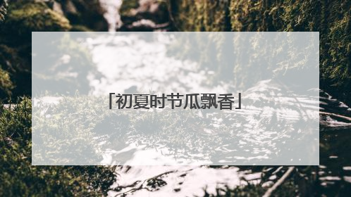 初夏时节瓜飘香