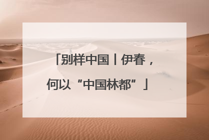 别样中国丨伊春，何以“中国林都”