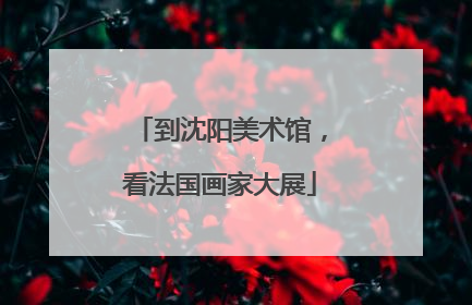 到沈阳美术馆，看法国画家大展