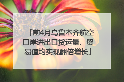 前4月乌鲁木齐航空口岸进出口货运量、贸易值均实现翻倍增长